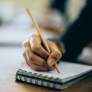 Assessment & Analysis